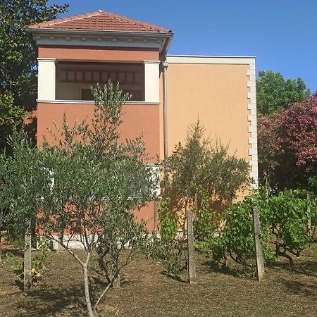 Apartments Rolovina Тиват Екстер'єр фото