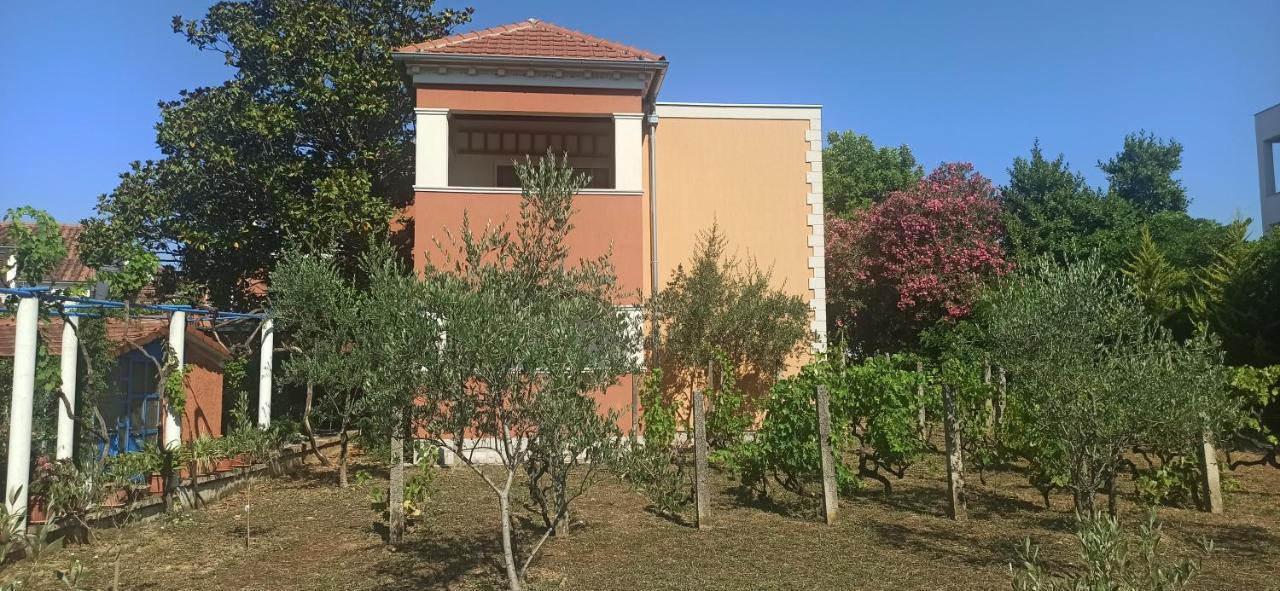 Apartments Rolovina Тиват Екстер'єр фото